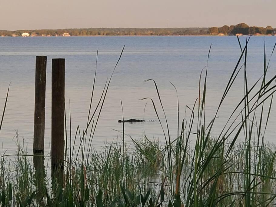 Camp St. Cabanas Unit 2 On Lake Dora Tavares Eksteriør billede
